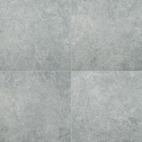 LUNAR SILVER 24X24 MATTE