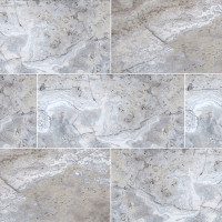 SILVER TRAVERTINE 12X24 PAVER