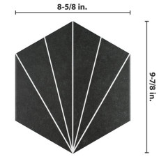 Aster Hex Nero  8-5/8