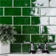 Antic Verde 3