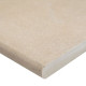 TIERRA BEIGE 13X24 COPING