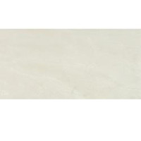 NEOSTONE GIOIA 24X48