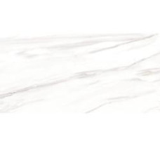 NEOSTONE VENATO 24X48