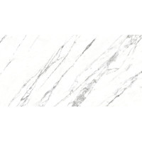 VENATO 12