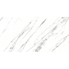 VENATO 12